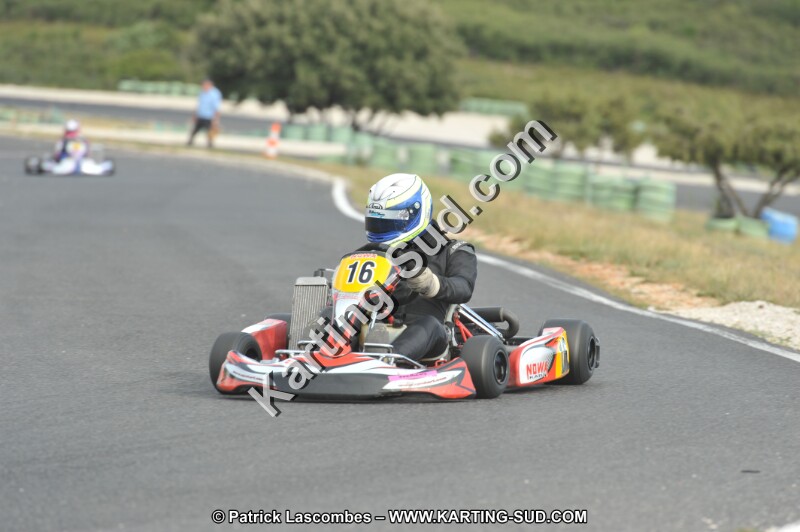 DSC (3880).JPG